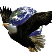 Eagles Wing Web Design